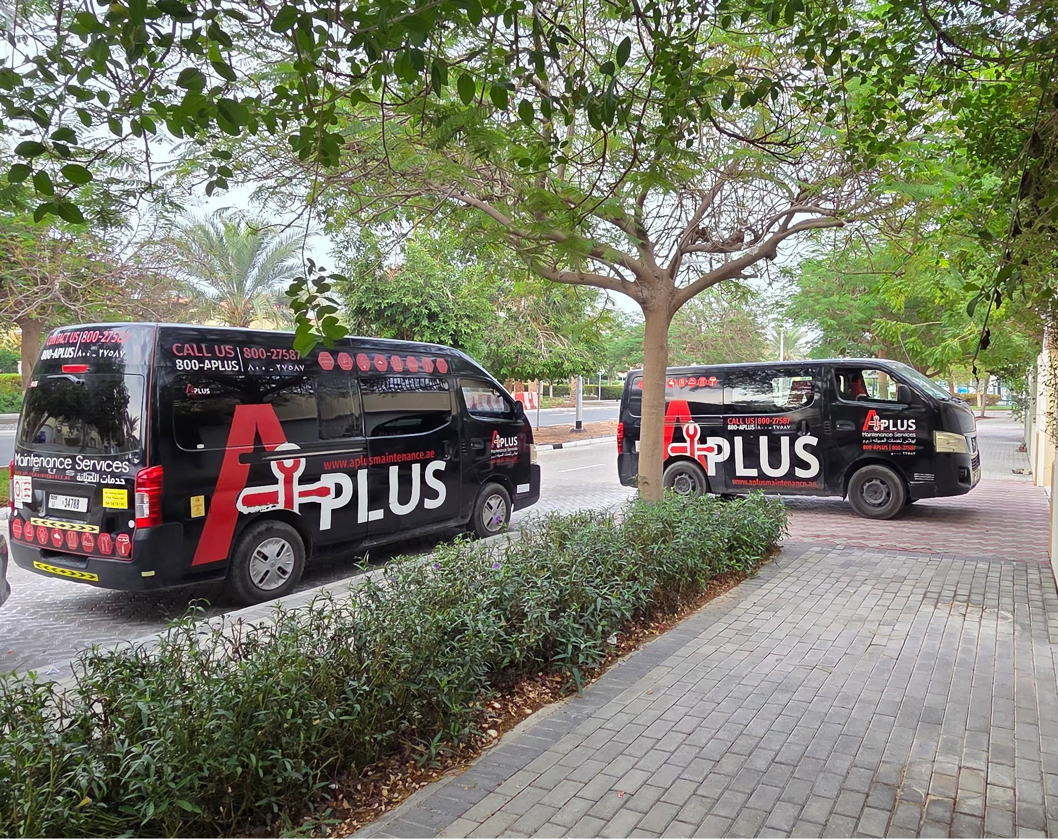 Two vans with 'A+ PLUS' branding parked on a street with trees and buildings in the background.